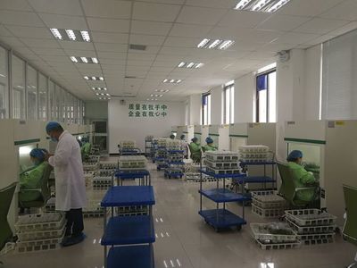 夏莊、賀店工作隊赴蘭考考察構(gòu)樹產(chǎn)業(yè)扶貧項目 技術(shù)推廣助力鄉(xiāng)村振興